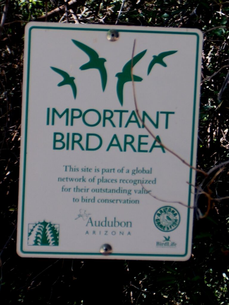 How Fly Aviary Uses Sources for Bird Identification Guides
