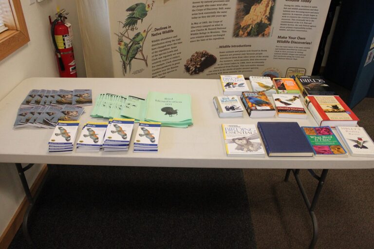 Local Birding Trip Checklist - USFWS Mountain Prairie photo (Public domain, via Wikimedia Commons)