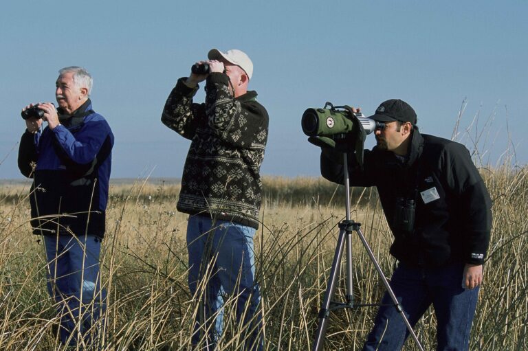 Mastering Binoculars for Bird Identification - Ryan Hagerty photo (Public domain, via Wikimedia Commons)