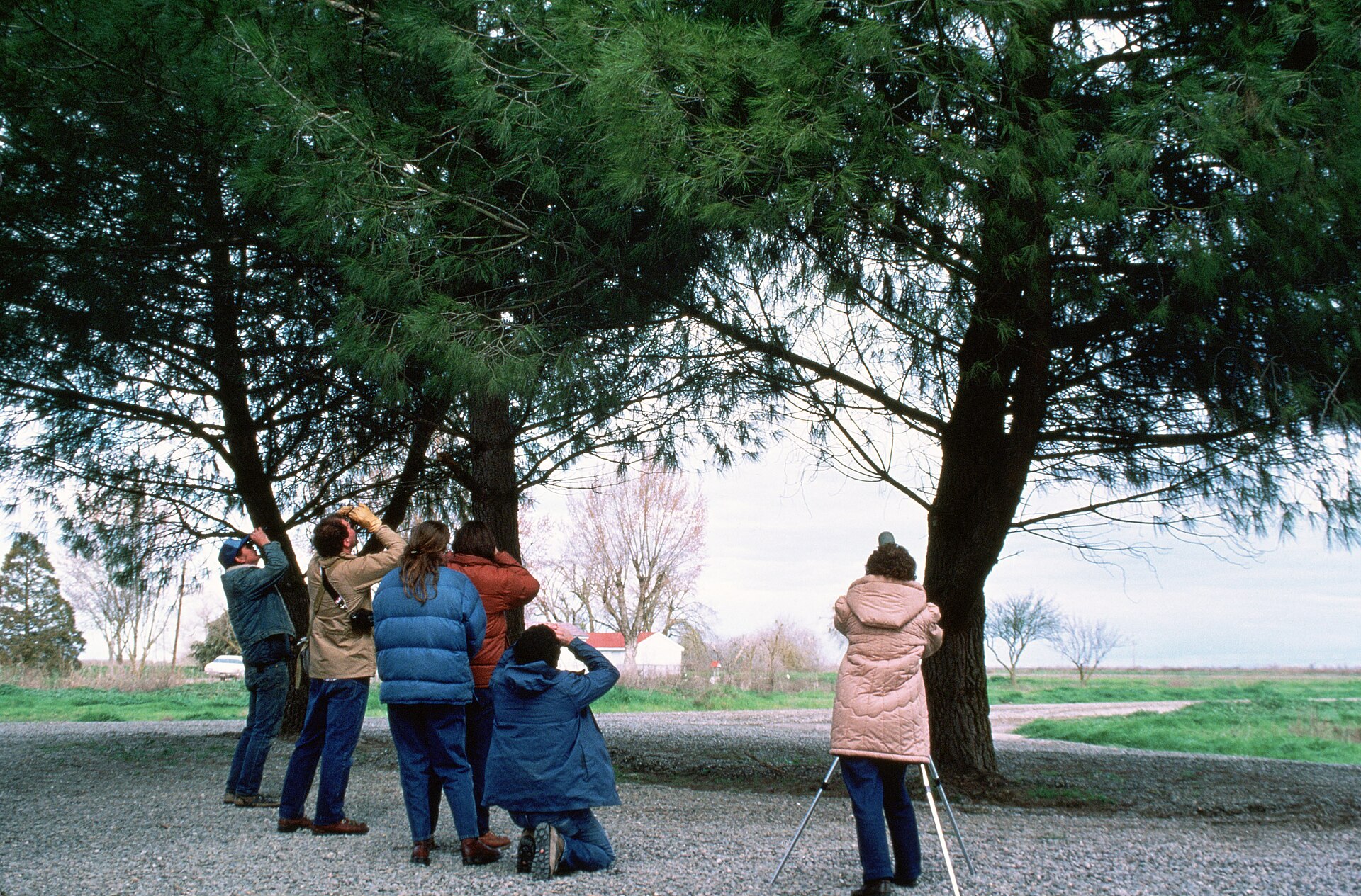 Birding Etiquette - Department of the Interior. U.S. Fish and Wildlife Service. National Conservation Training Center. 10/1997-8888 photo (Public domain, via Wikimedia Commons)