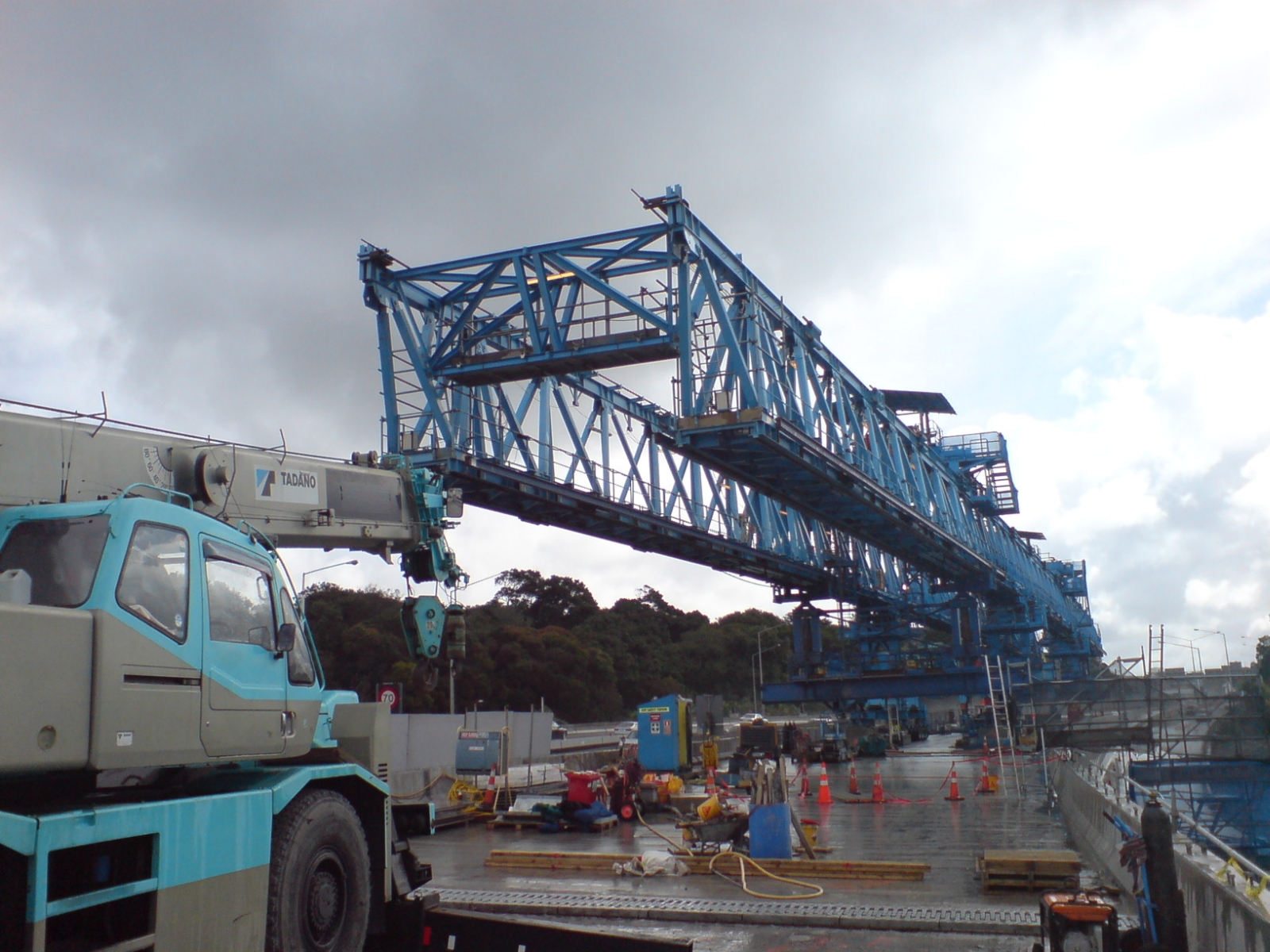 Blue Crane Description Blue Crane Description ()