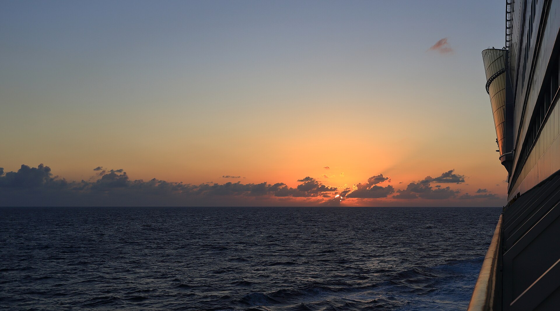 Caribbean Martin ()