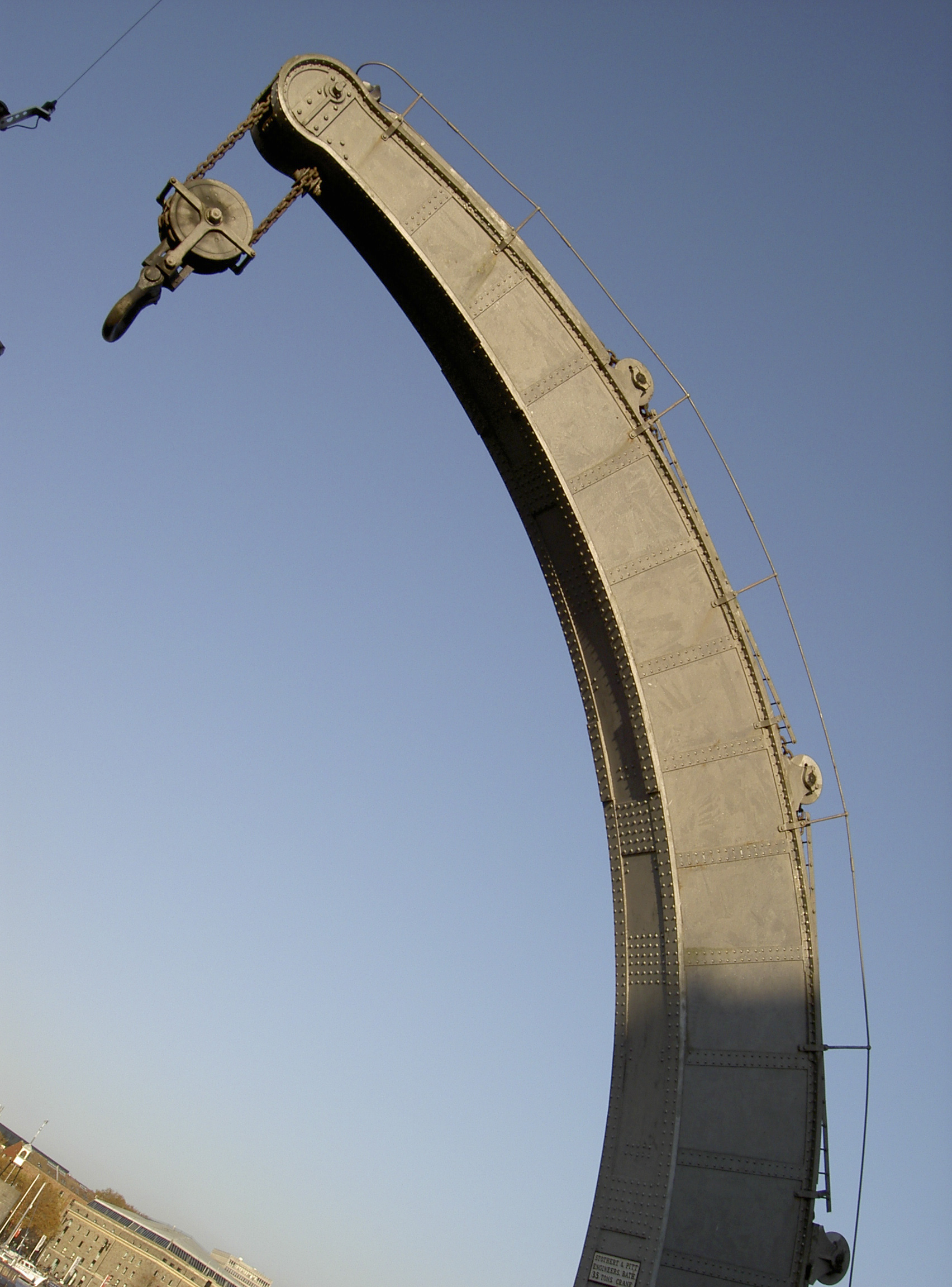 Graceful Crane ()
