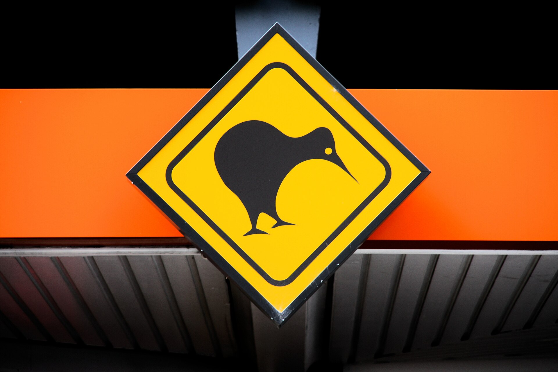 Kiwi Bird ()