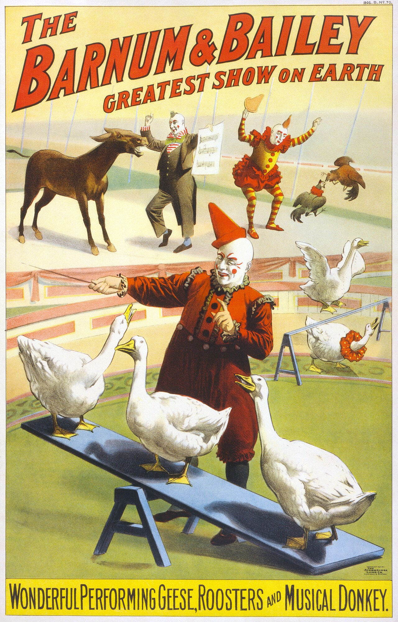 Geese